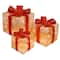 Gold & Red Gift Box Set with Holly with Clear Lights